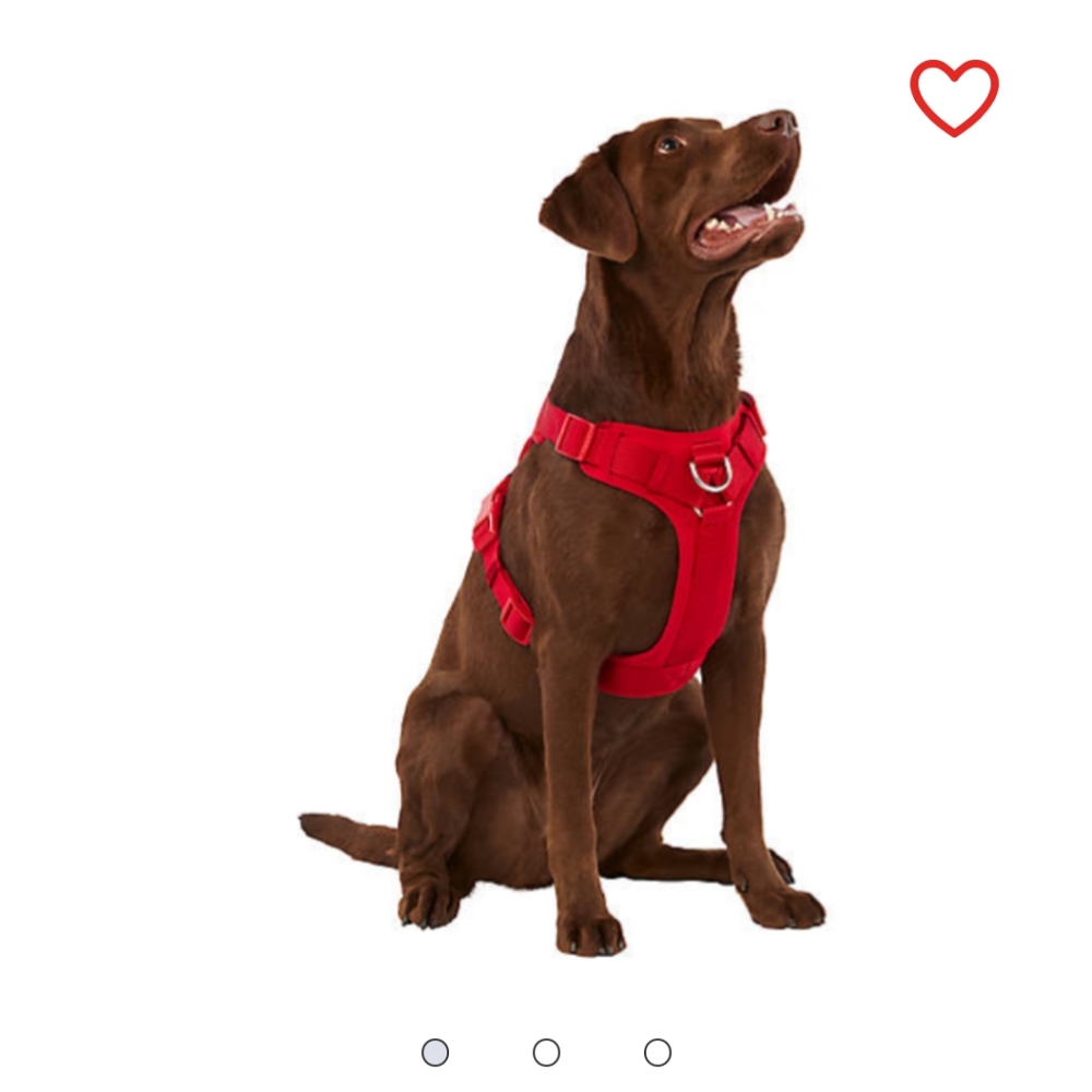 Xs no pull dog harness